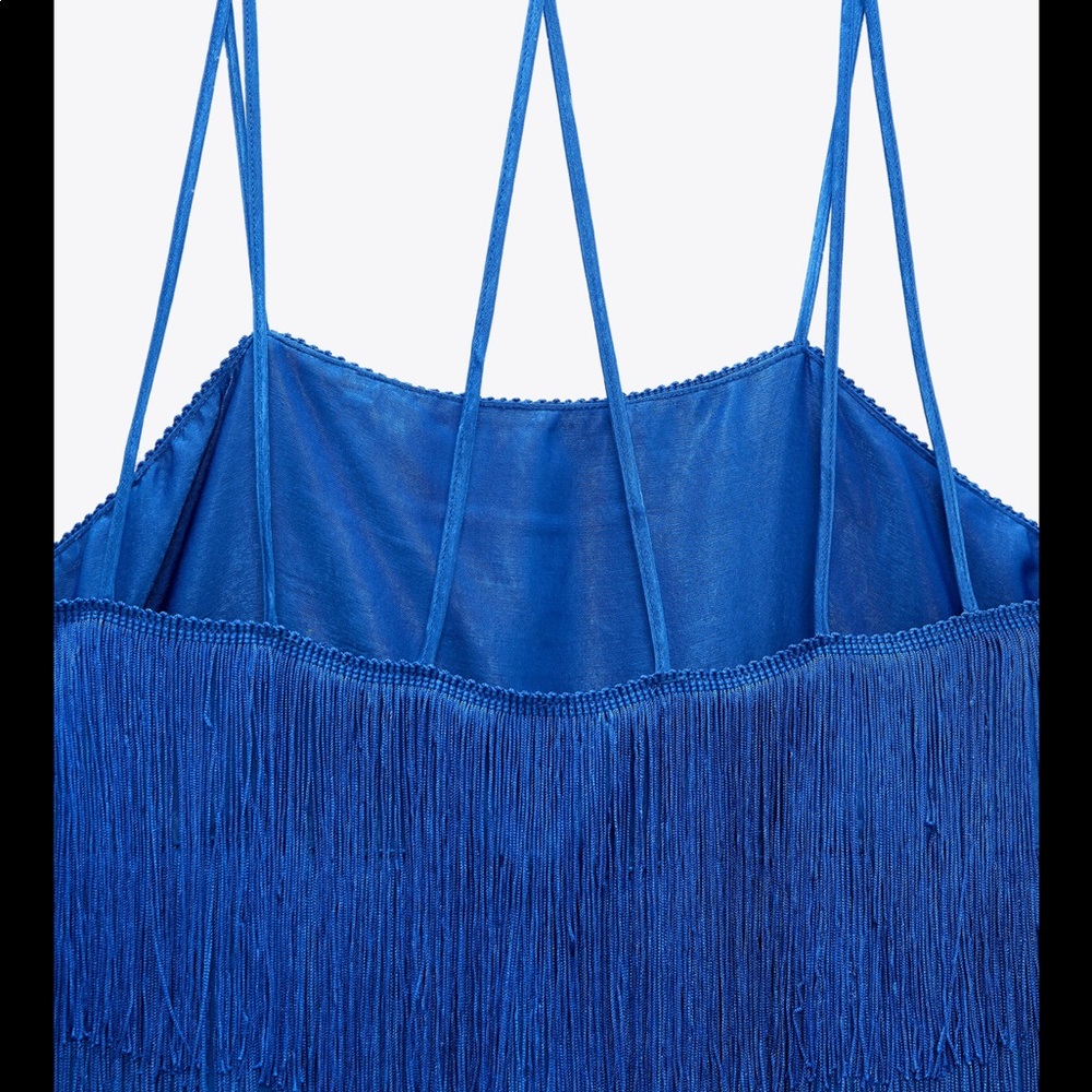 • Zara • Fringed Mini Dress - Picture 8 of 11